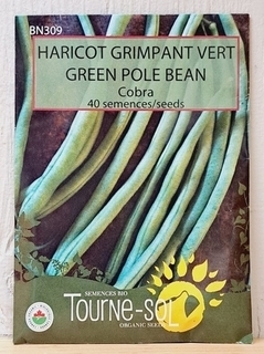 SEEDS - Bean Green Pole (Tourne-sol)
